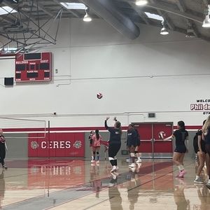 Meet your Posher, Plinio